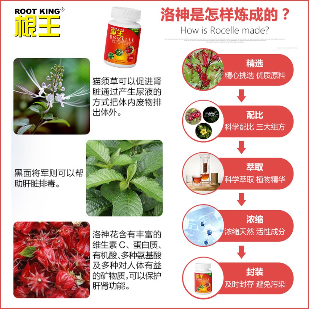 Root King Rocelle x2 洛神花养肾清尿配方 UTI 泌尿道舒缓草本补充剂 减少尿味与瘙痒 改善泡沫尿 清尿排毒 利尿护肝 ...