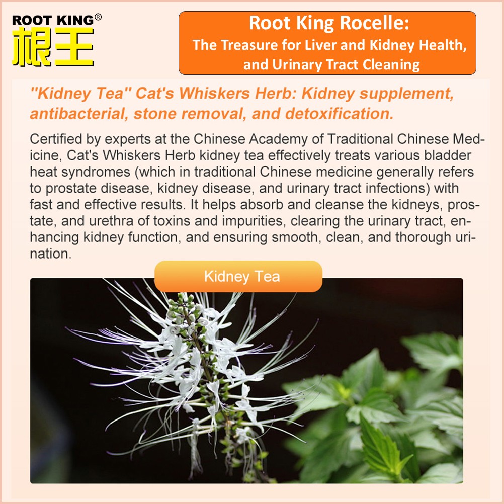 Root King Rocelle 根王洛神 Urinary Tract, Kidney Health, Hibiscus ...