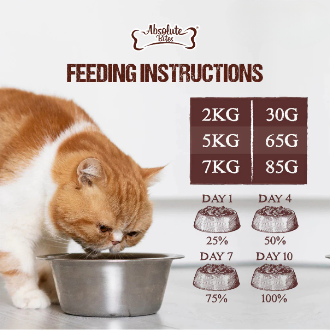 Absolute Bites Raw Chunks Freeze Dried Raw Cat Food 150g/280g | Shopee ...