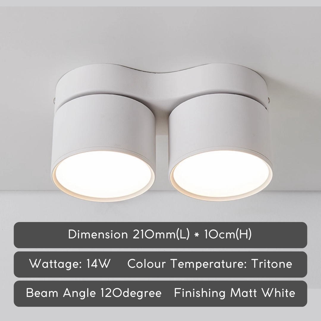 DUO Diffused Double Head Rotatable Surface Downlight with Adjustable ...