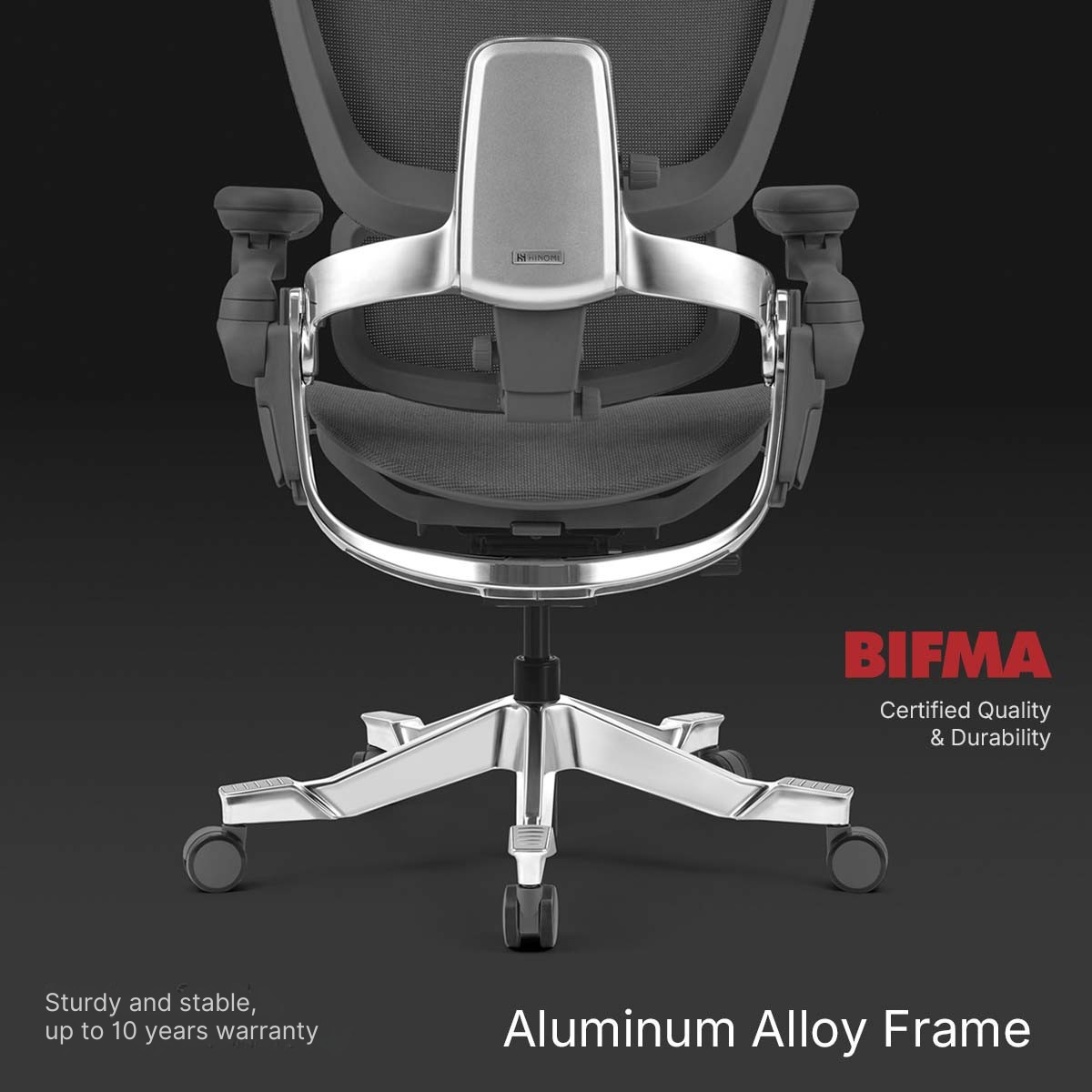 Hinomi H2 Pro Ergonomic Chair with Lumbar Support,Leg Rest,Mesh Home ...