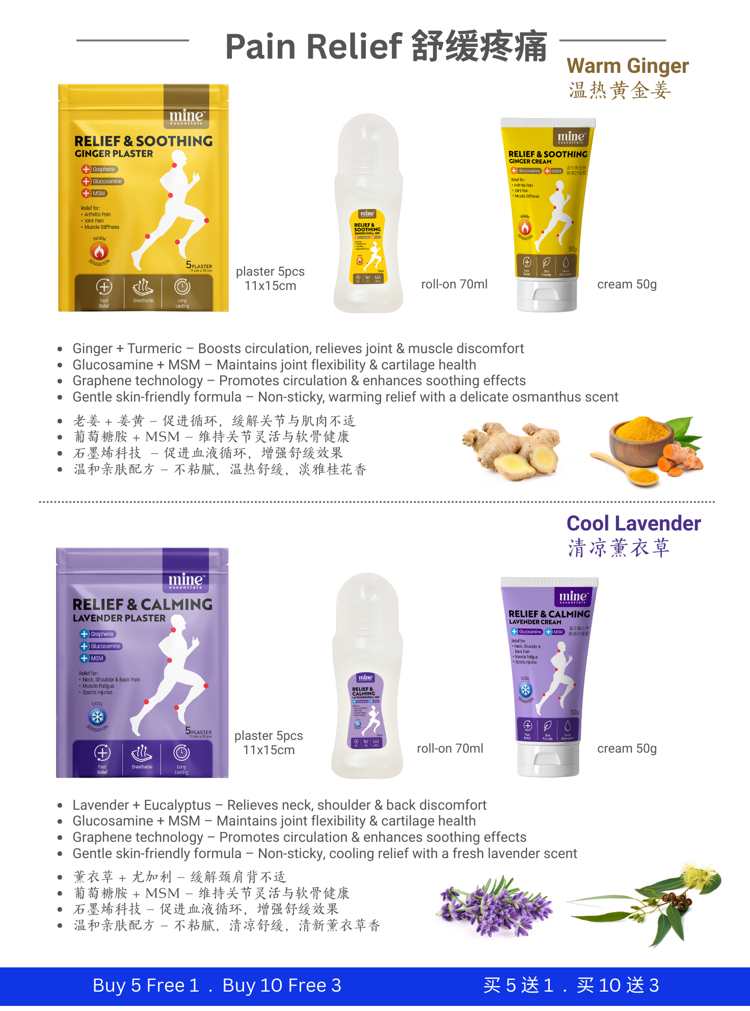 MINE Pain Relief Warm Ginger Plaster 5pcs | Arthritis Pain | Knee ...