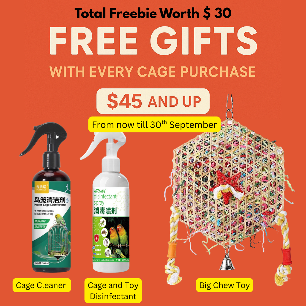 Bird Cage with Clear Front View | Stackable, Space-Saving Parrot Cage ...