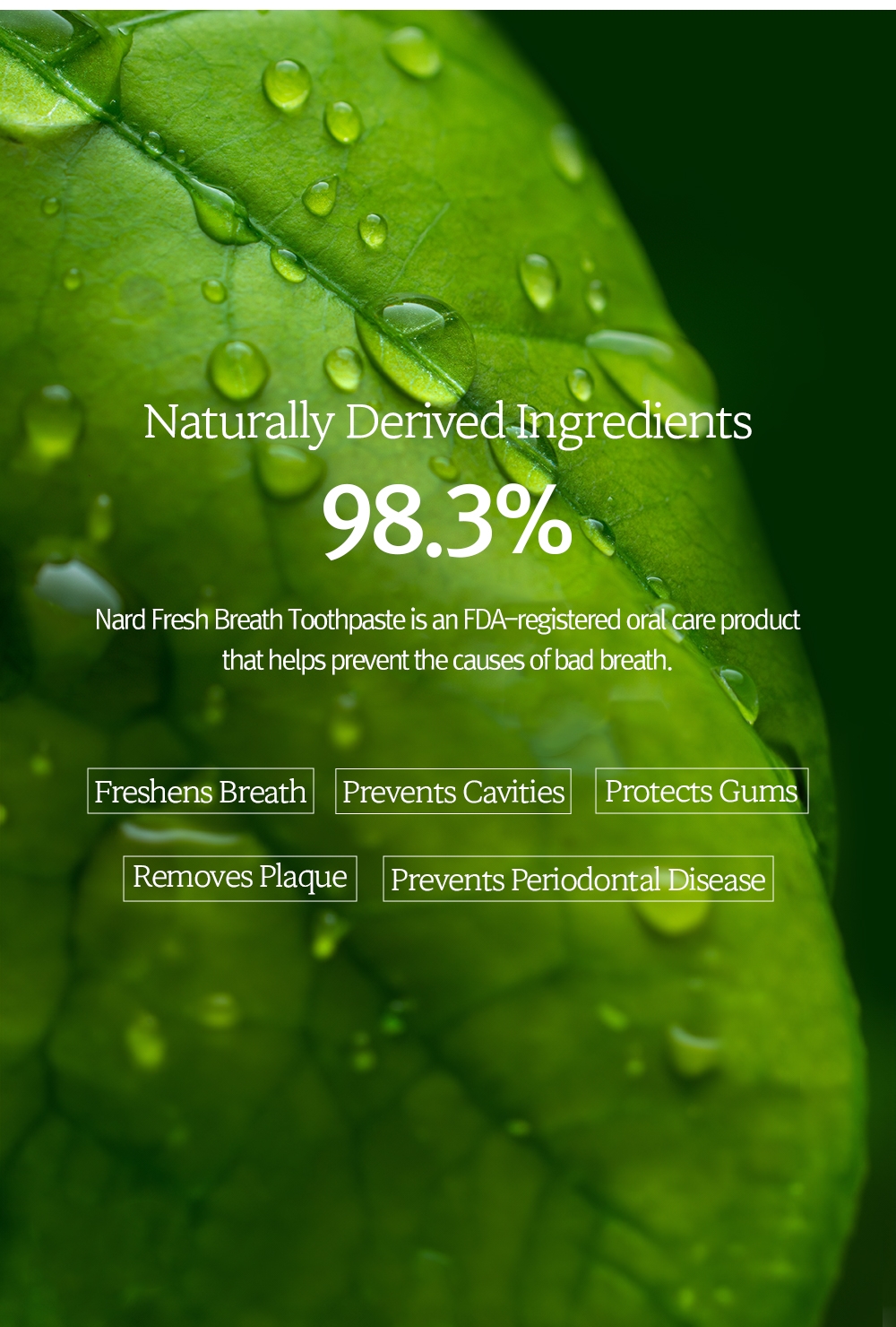 [NARD] Fresh and Whitening Toothpaste, 100gx3 - For Bad Breath, Long ...