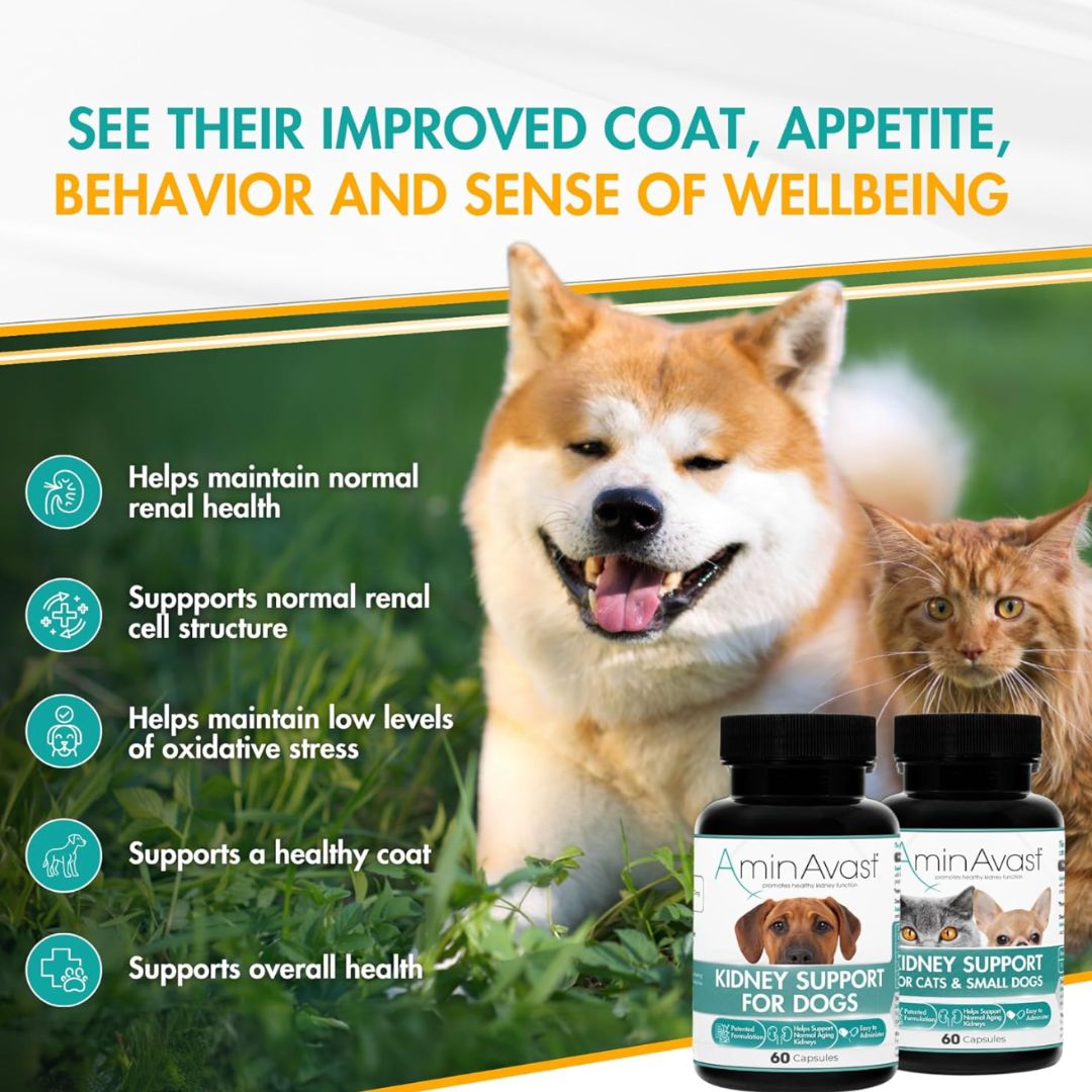 AminAvast Cat & Dogs Kidney Support Supplement 60 Capsules Natural ...