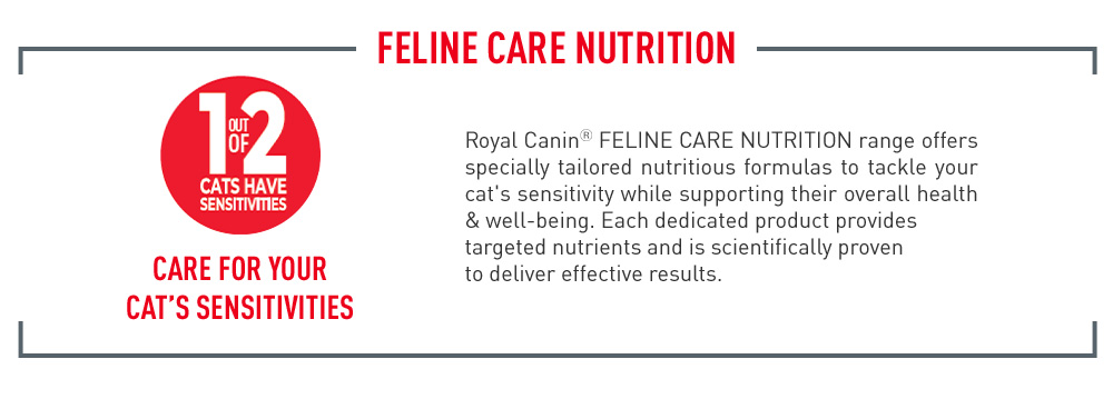 Royal Canin Digestive Care (2kg) Adult Dry Cat Food - Feline Care ...