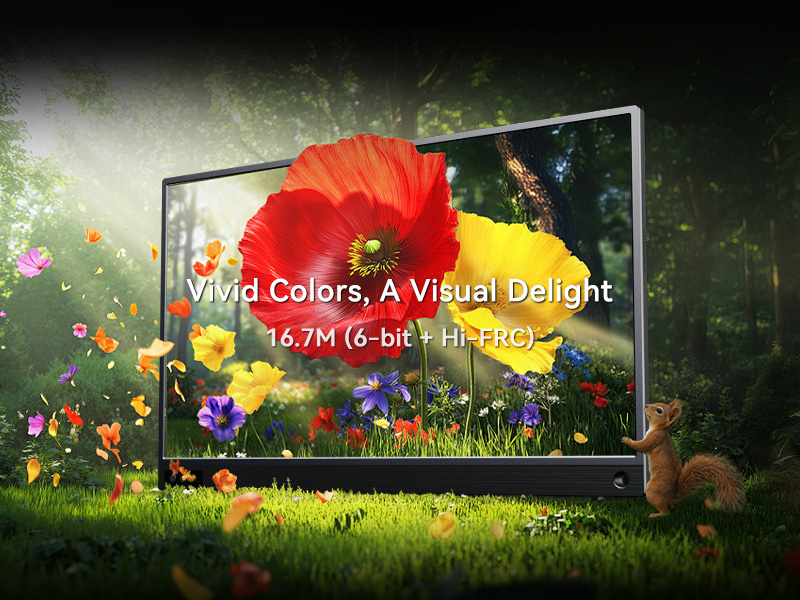 Zoomed-In 15.6'' 1080P 60Hz VESA Portable Monitor for Laptop External ...
