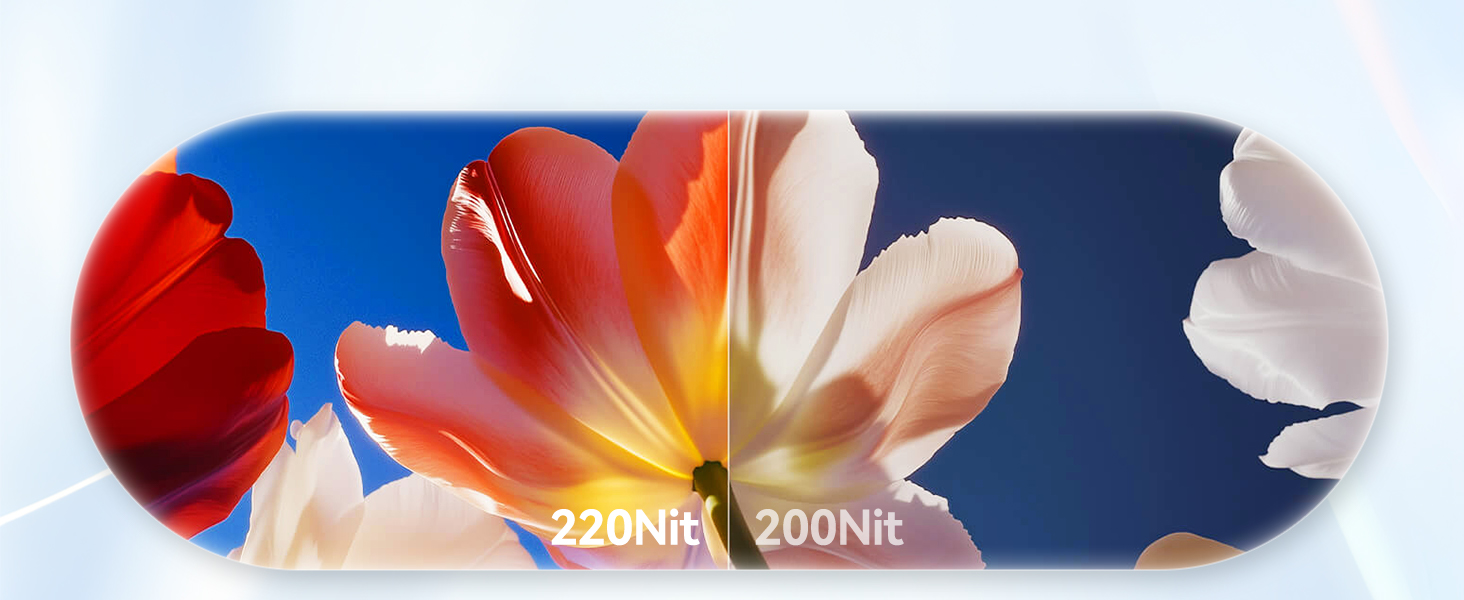Zoomed-In 15.6 '' 1080P FHD IPS Portable Monitor 100%sRGB / For PC ...