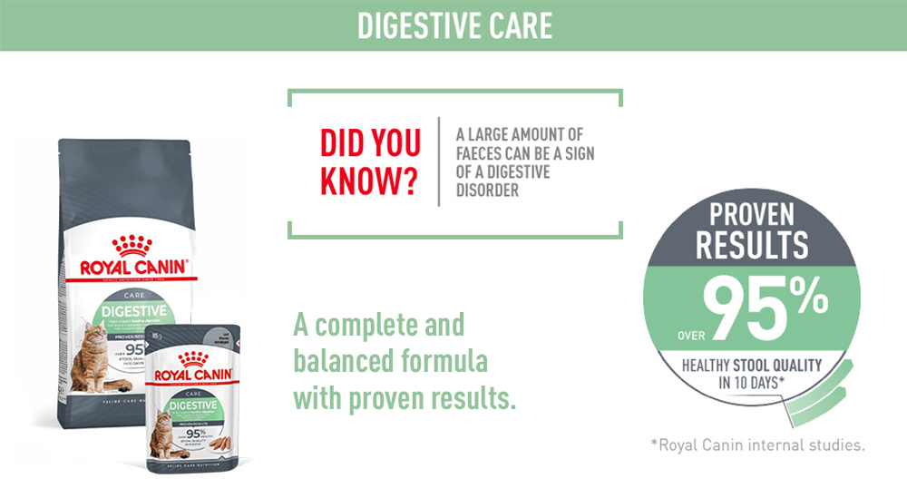 Royal Canin Digestive Care (2kg) Adult Dry Cat Food - Feline Care ...