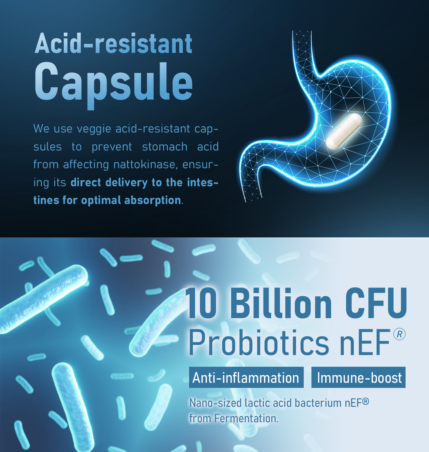 [Herbase] Nattokinase 12000FU supplement (Made in Japan) Lower Blood ...