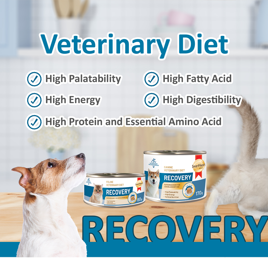 SmartHeart Gold Vet Diet Recovery Support Wet Can Food | Feline ...