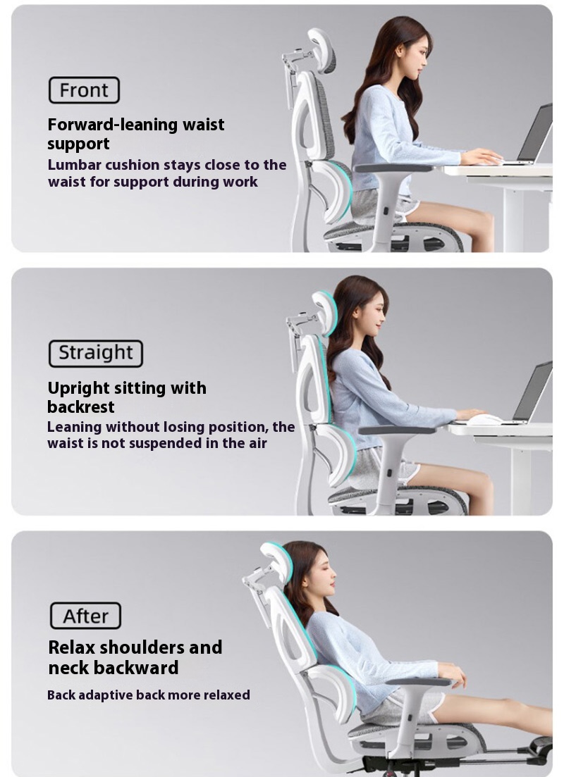 EC Ergonomic Chair Office Chair With Backrest Gaming Chair Computer ...