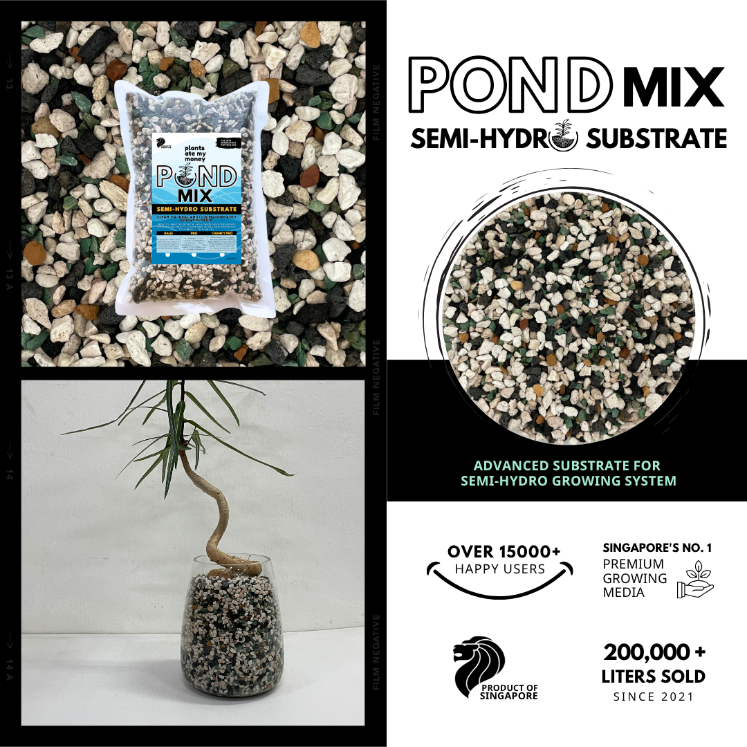 PAMM POND MIX – Advanced Substrate Made for Semi-Hydro Plants | Mineral ...