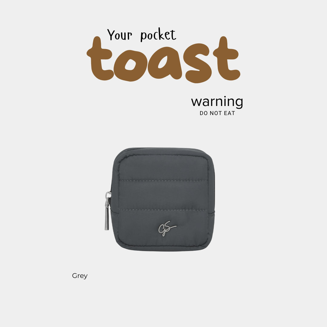 Toast TGS Puffer Pouch - Mini Version, with inner compartments | Shopee ...