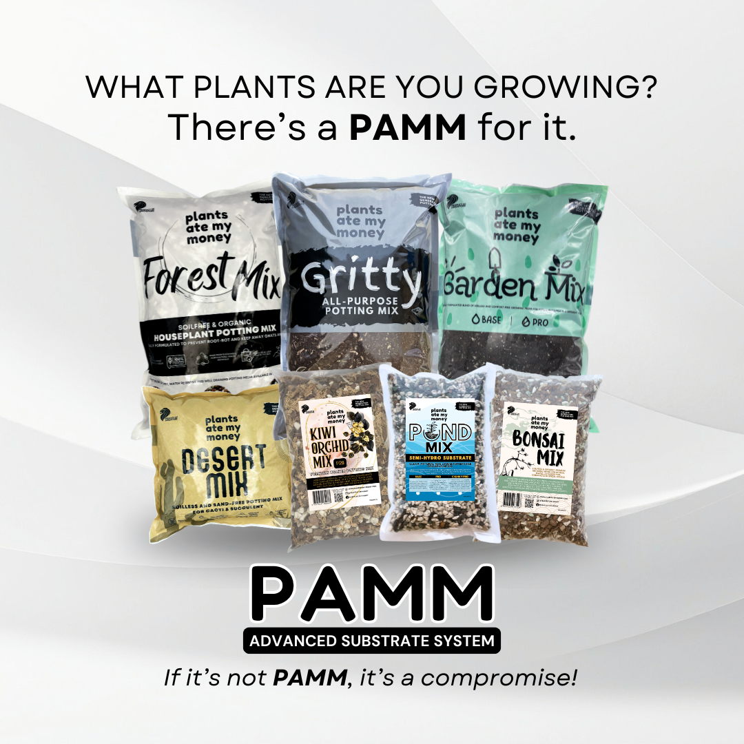PAMM GRITTY MIX – Advanced Substrate Made for Houseplants | Mineral ...