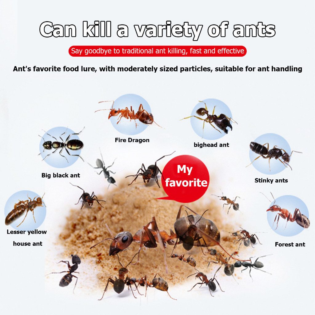 🍀SG stock🍀 𝟭𝟮𝗽𝗰𝘀/𝗯𝗼𝘅 Ant killer powder / Termite powder Termite Ant ...