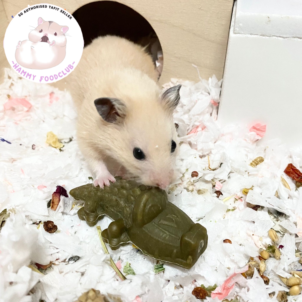 Hamster whimzees best sale