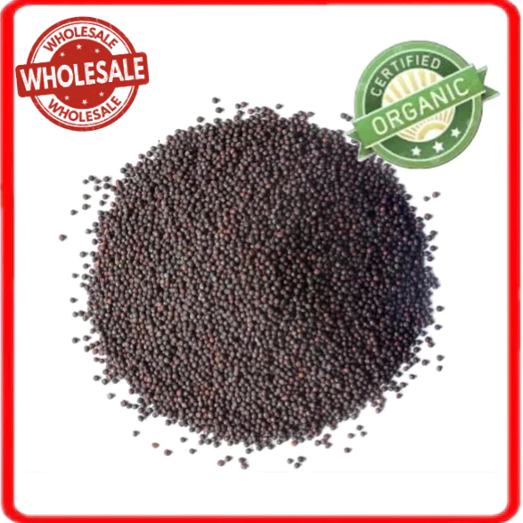 Wholesale Bulk Certified Organic Broccoli Seeds for Sprouting ...