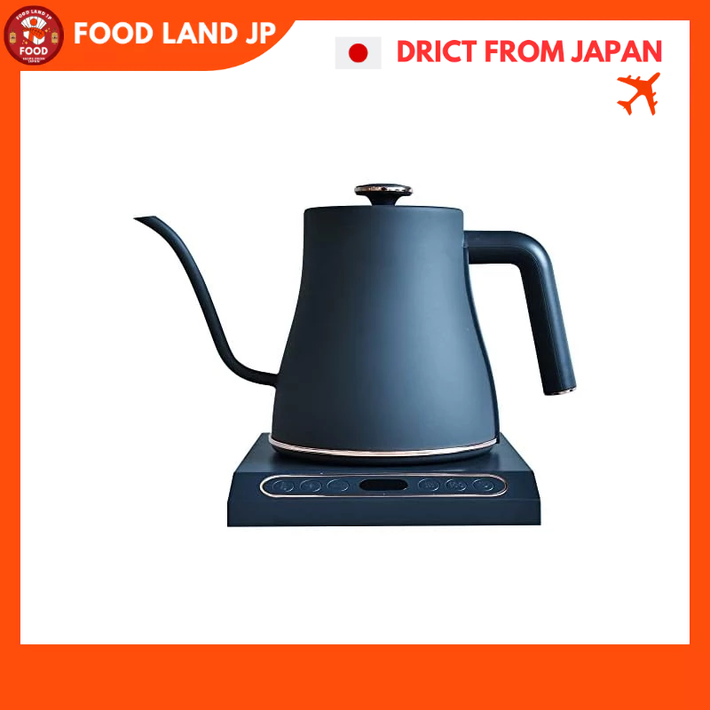 Electric kettle with keep warm function sale