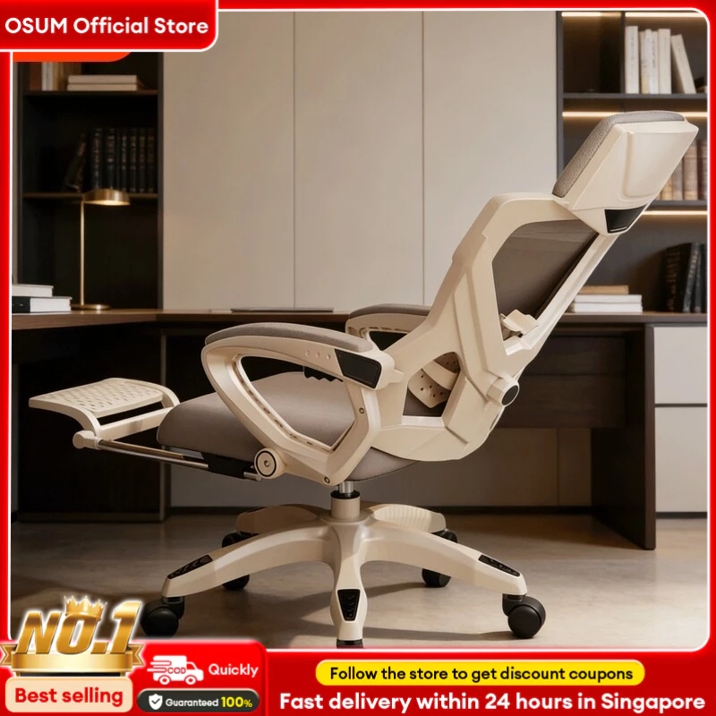 Ergonomic Computer Chair, Comfortable Reclining Gaming & Office Chair ...