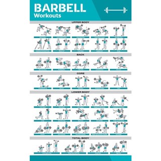 Barbell Workout Exercise Poster for Home Gym Exercise Posters for Full ...