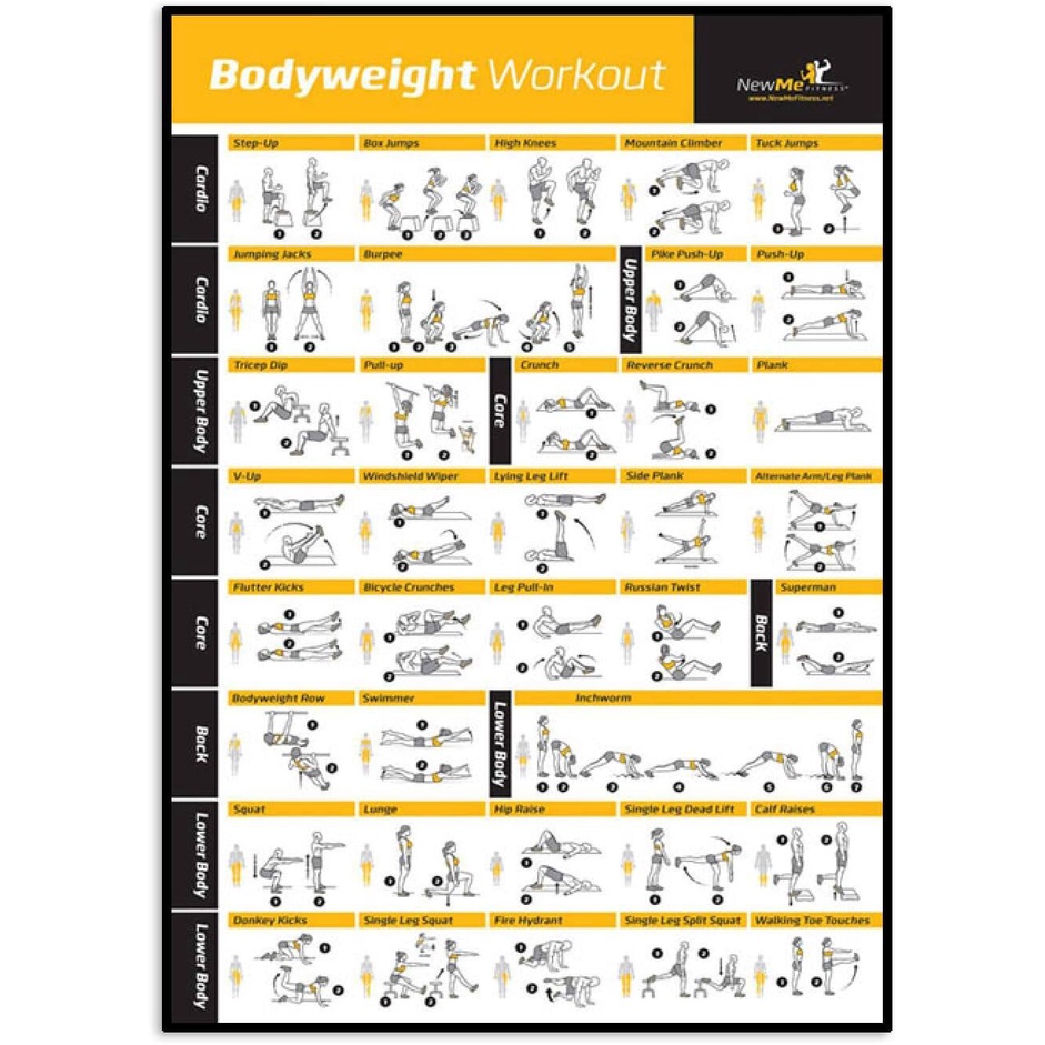 NNEWW Bodybuilding Gym Sport Fitness Dumbbell Posters Bodyweight ...