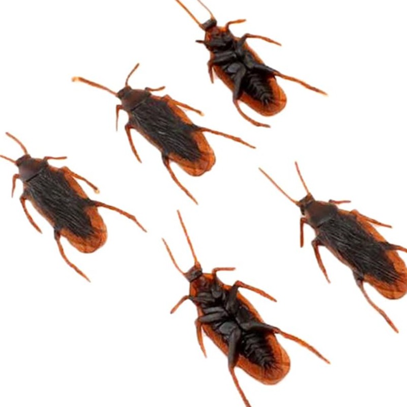Funny Halloween Prank Lifelike Fake Cockroaches - 50 Realistic Roach ...