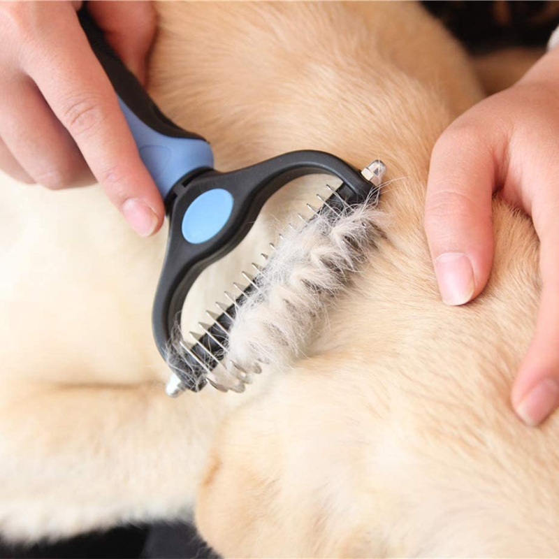 View of Best Deshedding Tools for Double-Coat Dogs - TheDogHomeFix