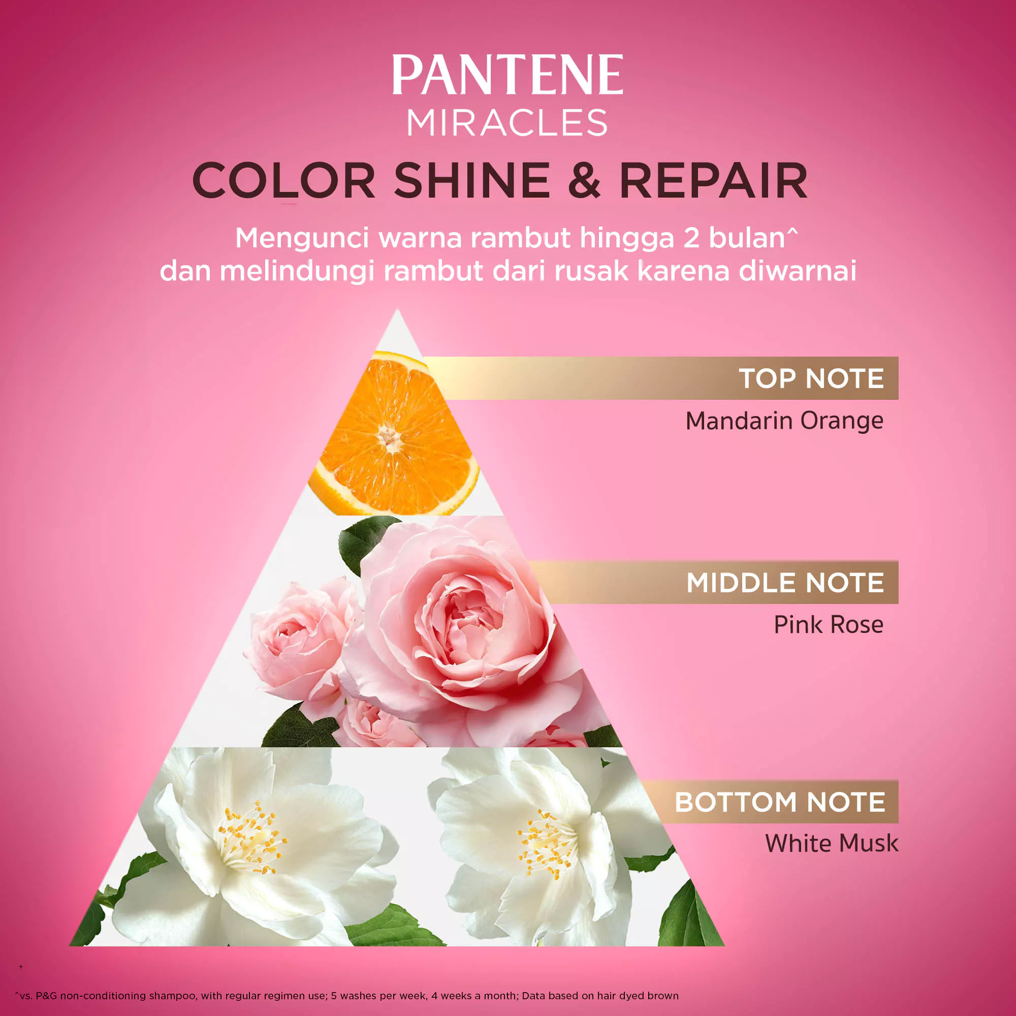 [NEW] PANTENE MIRACLE Color Shine & Repair Shampoo 440ml / Pantene Japan Premium Edition untuk rambut rusak karena diwarnai atau coloring - Gambar 4