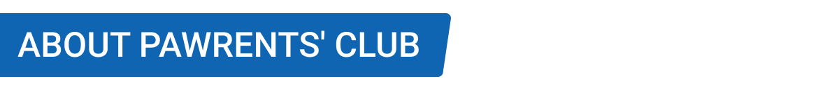 webp_image
