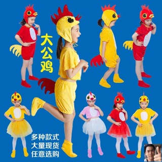 Hen costume on sale