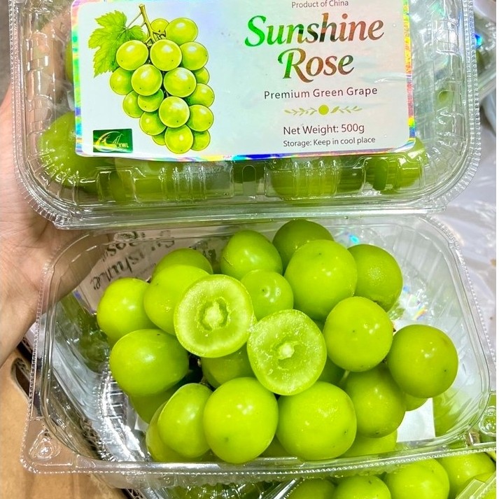 Buy grape muscat At Sale Prices Online - October 2026 | Shopee Singapore