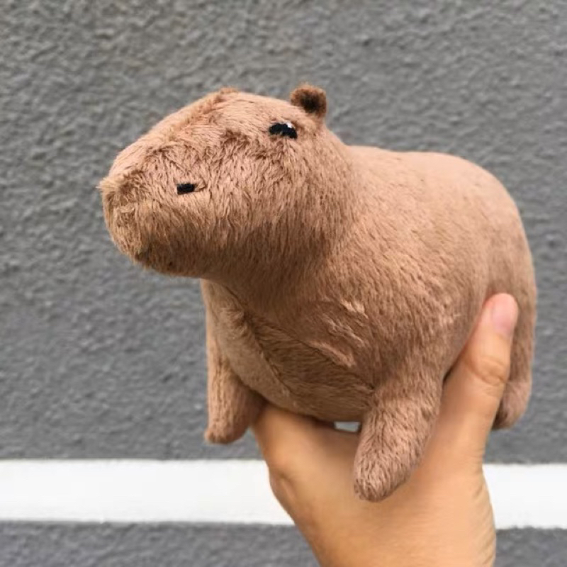 Capybara Doll Coconut Dog Shrimp Paste Fermented Fish Shopee Singapore