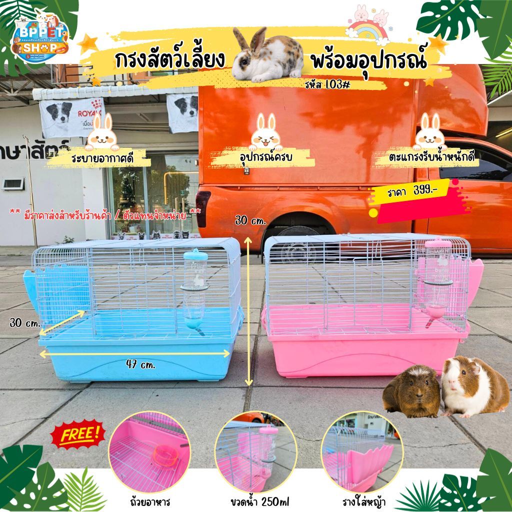 Rabbit Cage Gatsby Chinchilla Complete Set Of Equipment Ready To Raise ...