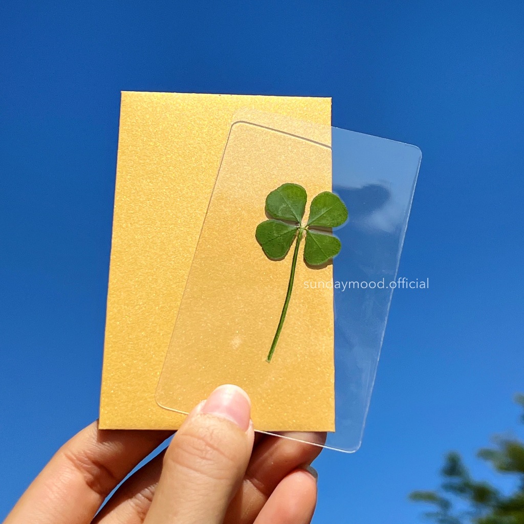 4-Point clover leaf With Gold Envelope Uncle Style Coated Card | Shopee ...