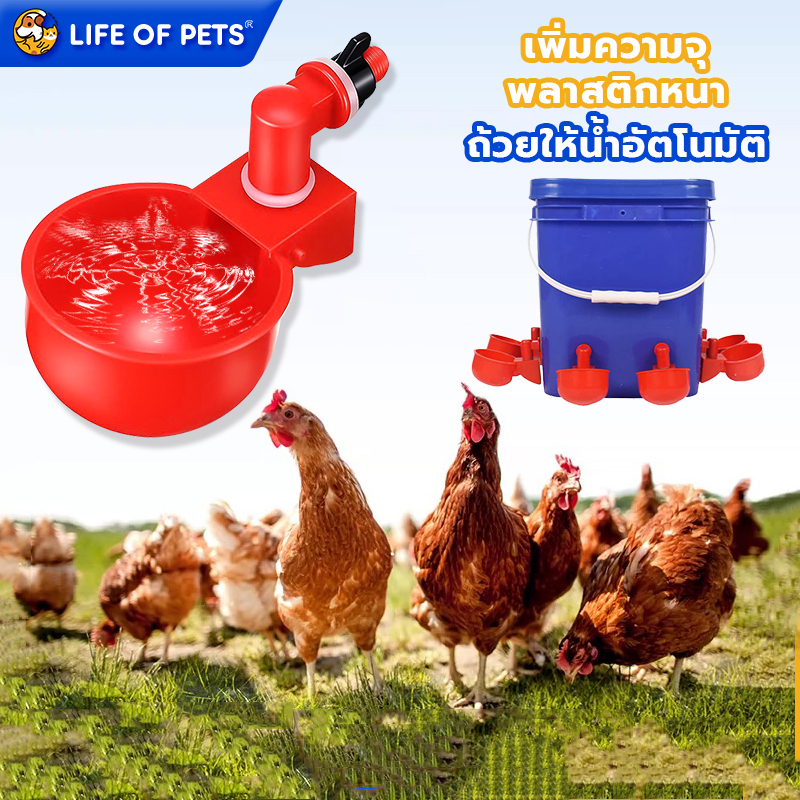 Automatic Chicken Waterer PVC/Quail Drinking Cup For Watering Removable