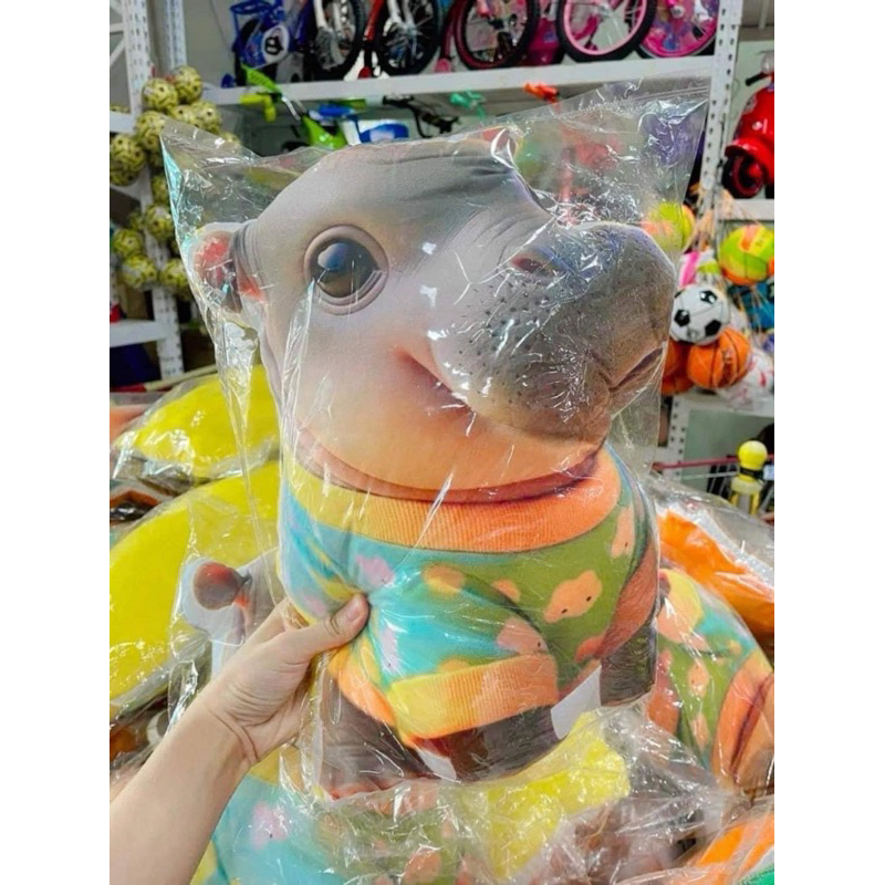 Bouncy Pig Pillow Dwarf Hippo | Shopee Singapore