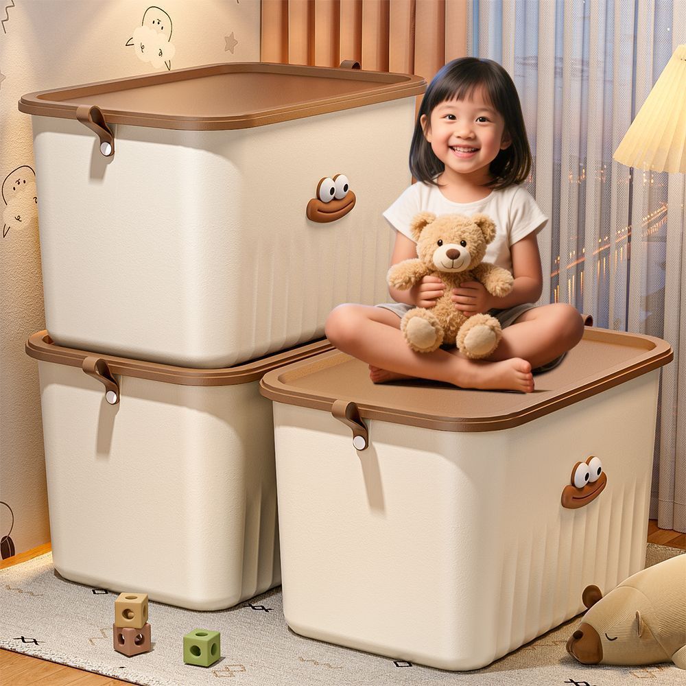 Multipurpose Storage Box With Lid With Handle Hold The Space Use To ...