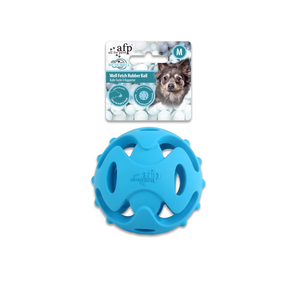 AFP Pet Toys Well Fetch Ball (M) | Shopee Singapore
