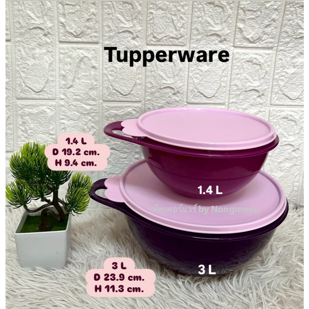 Tupperware Model That's A Bowl Multipurpose Box 2 Sizes And 2 Colors ...