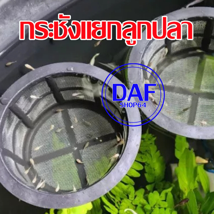 Newborn Fish Cage Net Sorting Nursery Farming Aquarium Equipment ...