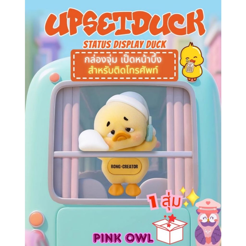 Random Box UpsetDUCK Status Display Duck 1 Dip Get A Secret 1983 ...