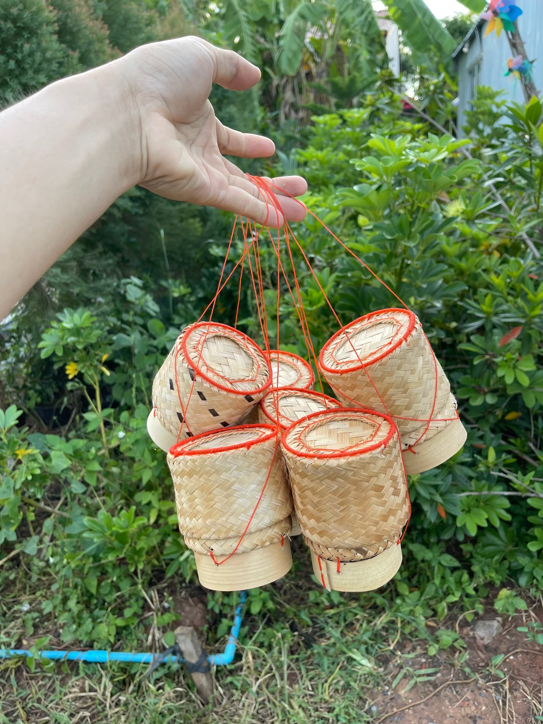 Kratib Khao Lek Rice Restaurant Sticky 3 .5 Inches Low With | Shopee ...