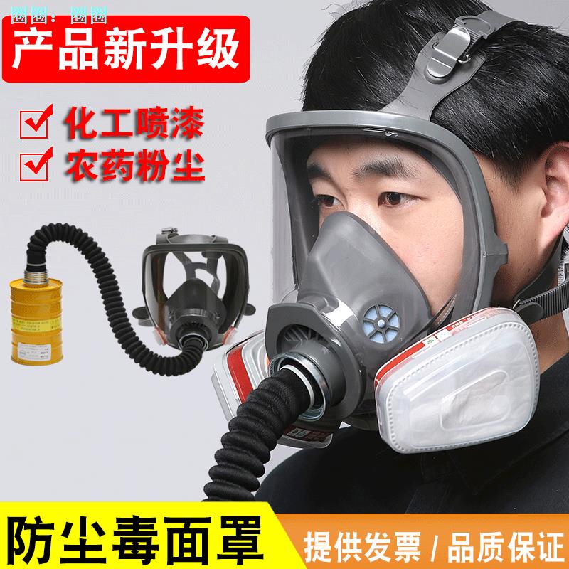 Gas Mask Chemical Gas Spray Paint Dedicated Full Face Antidust Fire