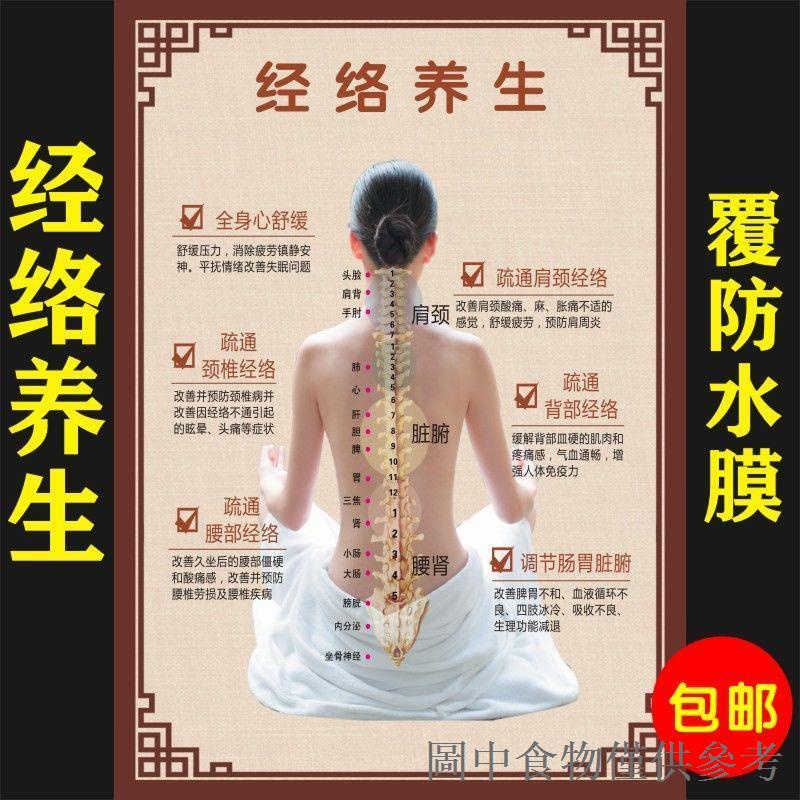 Spine Physiotherapy Chinese Medicine Health Center Benefits of Back Meridian Dredging Wall Chart