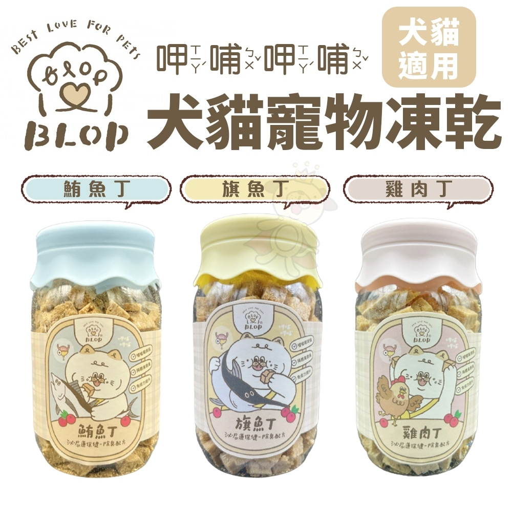 Orange Cat MISO BLOP Sipping Breastfeeding Pet FreezeDried Chicken