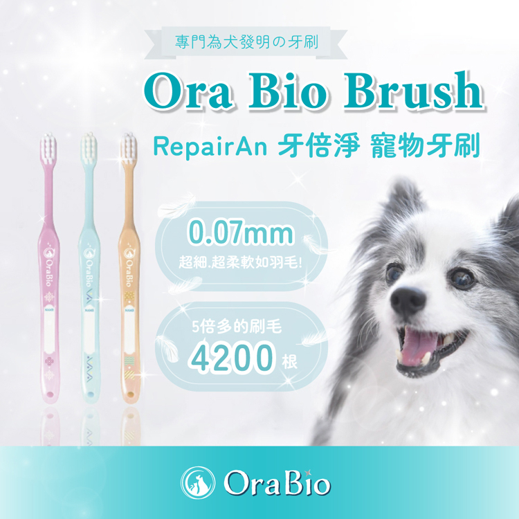 Bagel Bagel Bagel Japan Toothbrush [C425] | Shopee Singapore
