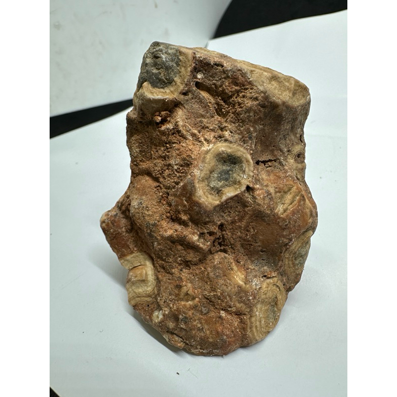 D9993 Natural Thai Dragon Palace Relic Raw Ore Old Mineral Material ...