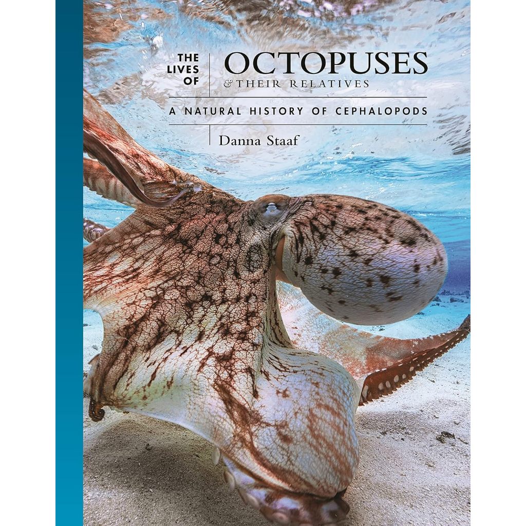 The Lives of Octopuses and Their Relatives: Head Foot Outline Biology ...