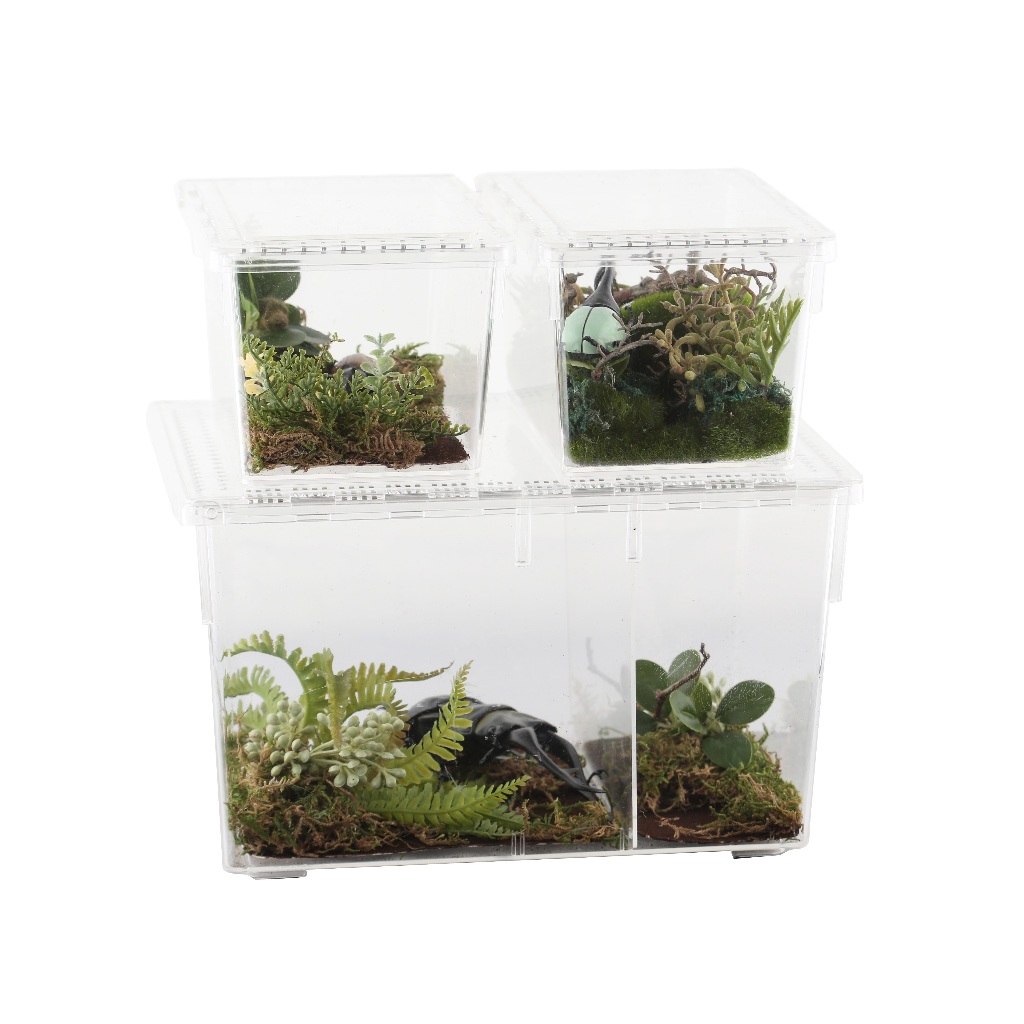 1 Large (M)+2 Small (S) Beetle Box Set/Breeding Box/Slide Type/Insect ...